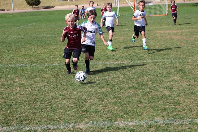 不得不依赖 不得不依赖