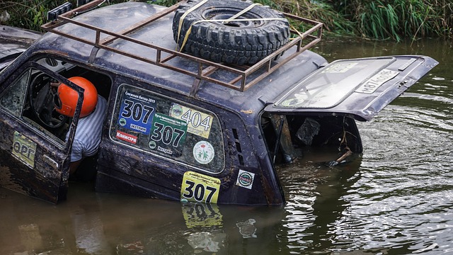 他凭借出色 他凭借出色