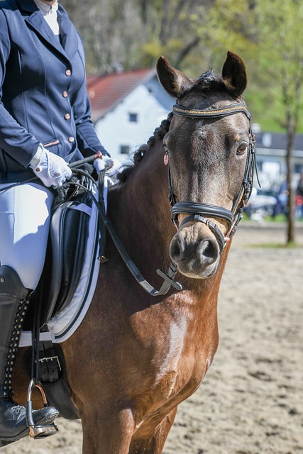 意義以及它 意義以及它