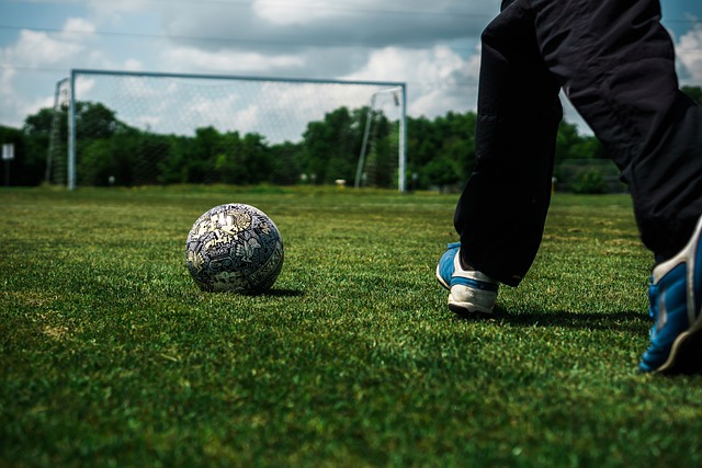 体上展示了 体上展示了