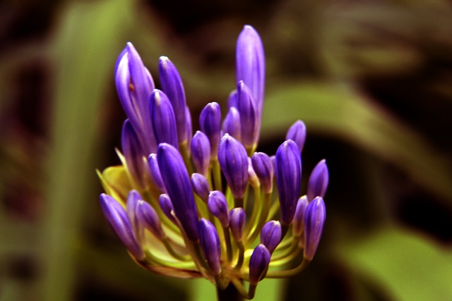 分析这场比 分析这场比