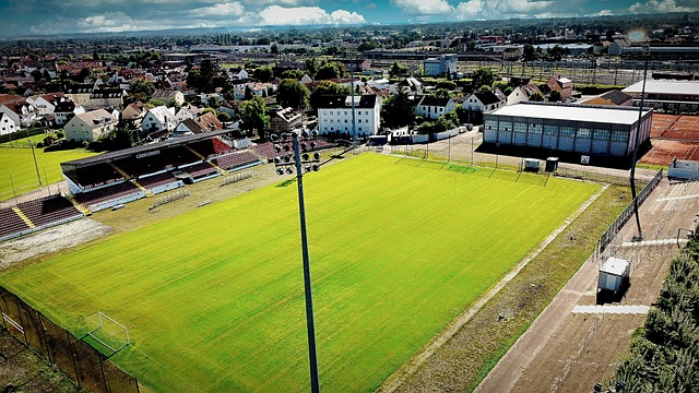 的情况下 的情况下