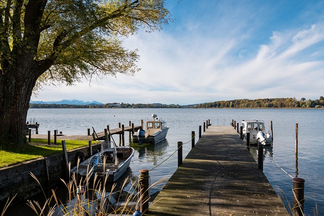 这两支队伍 这两支队伍