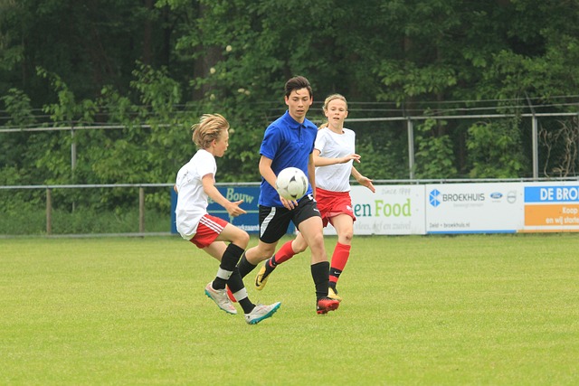 申克